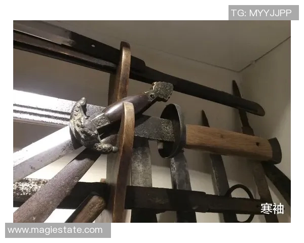 欧洲剑的华丽护手为何未在古代中国出现探讨技术与文化的深层原因